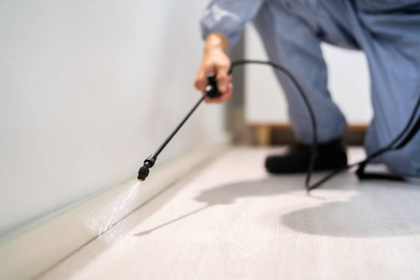 Bed Bug Pre-Treatment Preparation Assessment in Redding