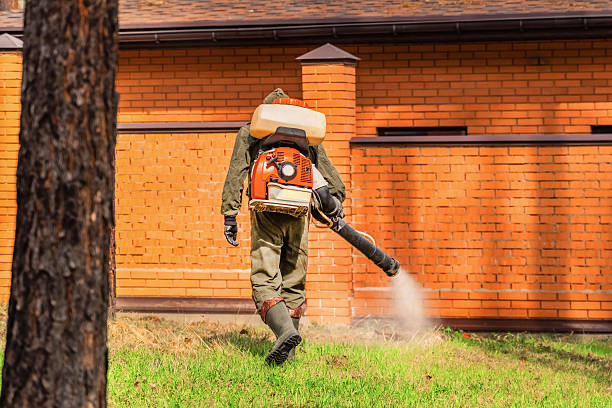 Bed Bug Clearance Verification and Documentation in Redding